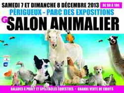 Affiche de l'exposition de chats sur le Salon Animalier de Périgueux les 7 et 8 décembre 2013
