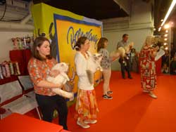 Photo d'un podium du salon des chiens et chats 2014 de l'Espace Champerret