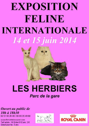 Affiche de l'Exposition Féline Internationale aux Herbiers le 14 et 15 juin 2014