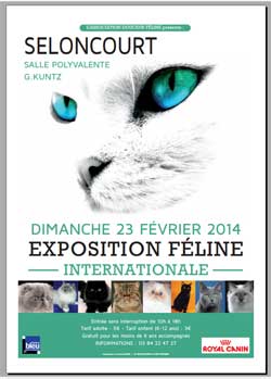 Affiche de l'exposition de chats de Seloncourt 2014 le 23 février