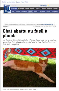  Tueurs de chat à la carabine à plombs