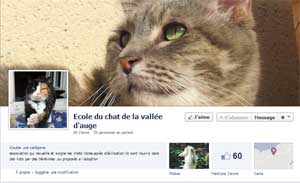 La page facebook de l’Ecole du Chat de la Vallée d'Auge