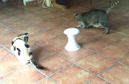 Froli Cat Dart Duo : le maître des jeux (du chat)… 