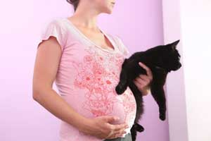 Toxoplasmose chez la femme enceinte ?  Pas de souci, ... comment garder votre chat ! 