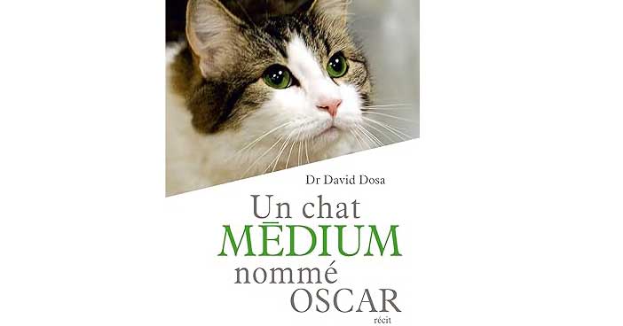 Les super-pouvoirs des chats : Un regard sur leurs sens exceptionnels.