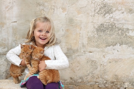 Donner un chaton à Noël à un enfant se révèle souvent être une bêtise.