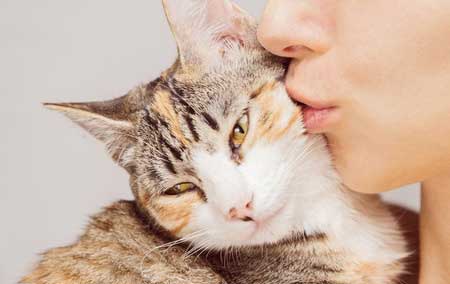 Le chat et l’hyper-attachement par Marie-Hélène Bonnet (1) .