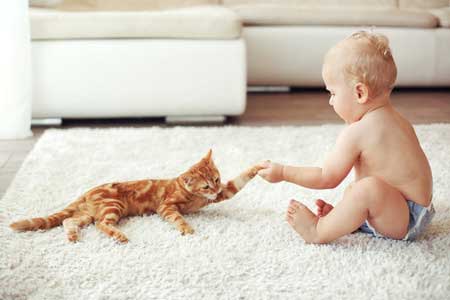 Les chats, les bébés et les enfants par Marie Hélène Bonnet (1).