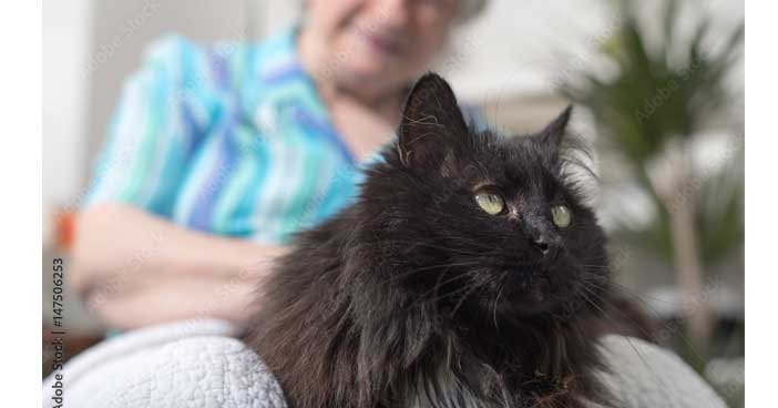 Les bienfaits de la loi autorisant la présence des chats dans les EHPAD au coté de leur maitre