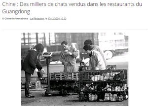 Non ce n’est pas une légende on mange les chats en chine