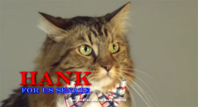 Hank, le chat qui voulait être sénateur... 