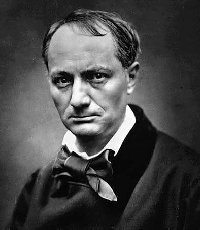 Les chats de Baudelaire : les fleurs du mâle ? 