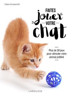 Faites jouer votre chat